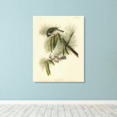 Toile Oiseaux d'Amérique à pois (touffus) (Insitu (Plancher de Bois))