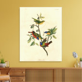 Toile Oiseaux d'Amérique d'Audubon (Insitu(Salon))