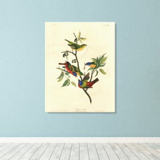 Toile Oiseaux d'Amérique d'Audubon (Insitu (Plancher de Bois))