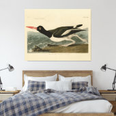 Toile Oiseaux d'Amérique d'Audubon (Insitu(Chambre))