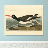 Toile Oiseaux d'Amérique d'Audubon (Insitu (Plancher de Bois))