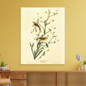 Toile Oiseaux d'Amérique de la Paruline Audubon (Insitu(Salon))