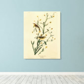 Toile Oiseaux d'Amérique de la Paruline Audubon (Insitu (Plancher de Bois))