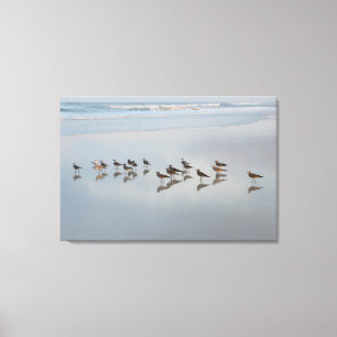 Toile Oiseaux de rivage