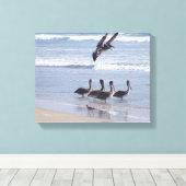 Toile Oiseaux pélicans Faune Animaux Océan (Insitu (Plancher de Bois))
