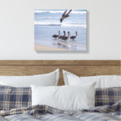 Toile Oiseaux pélicans Faune Animaux Océan (Insitu(Chambre))