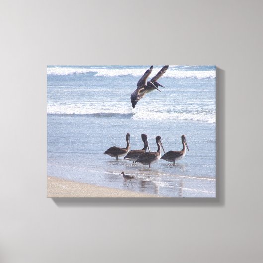 Toile Oiseaux pélicans Faune Animaux Océan (Recto)