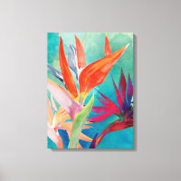 Oiseaux vivants du paradis