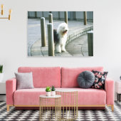 Toile Old English Sheep (Insitu(Salon))