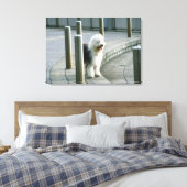 Toile Old English Sheep (Insitu(Chambre))