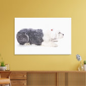 Toile Old English Sheepdog sur arrière - plan blanc (Insitu(Salon))