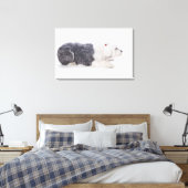 Toile Old English Sheepdog sur arrière - plan blanc (Insitu(Chambre))