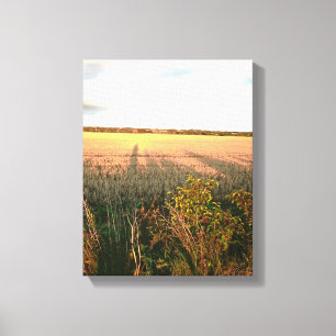 Toile ombres longues et couleurs automnales du paysage r
