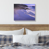 Toile OR, côte de l'Oregon, Ecola SP, Indian Beach avec (Insitu(Chambre))