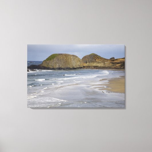 Toile OR, côte de l'Oregon, Seal Rock State Park, (Recto)