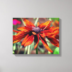 Toile Orange Black Eyed Susan Flower gros