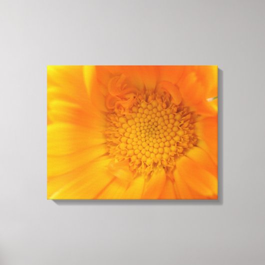 Toile Orange Marigold Macro Canvas Imprimer (Recto)