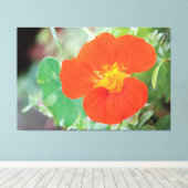 Toile Orange Nasturtium Bloom (Insitu (Plancher de Bois))