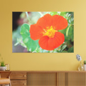 Toile Orange Nasturtium Bloom (Insitu(Salon))