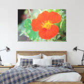 Toile Orange Nasturtium Bloom (Insitu(Chambre))