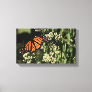 Toile Orange Noir Monarque Papillon Nature Photographie
