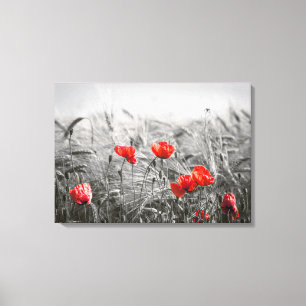 Toile Orange Poppy Flower Field Minimaliste Photographie