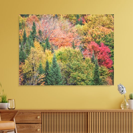 Toile Orange Red Bush (Insitu(Salon))