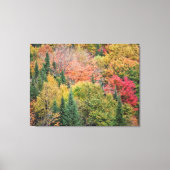 Toile Orange Red Bush (Recto)