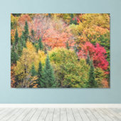 Toile Orange Red Bush (Insitu (Plancher de Bois))