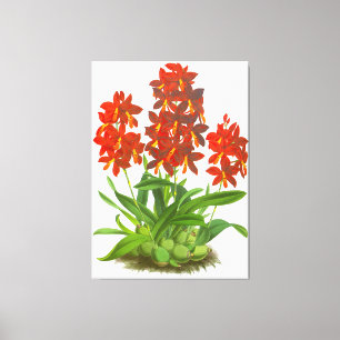 Toile Orange rouge orchidée Flower_GA - Imprimer sur toi