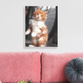 Toile Orange Tabby Kitten (Insitu(Salon))