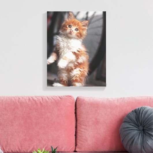 Toile Orange Tabby Kitten (Insitu(Salon))