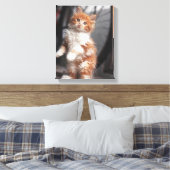 Toile Orange Tabby Kitten (Insitu(Chambre))