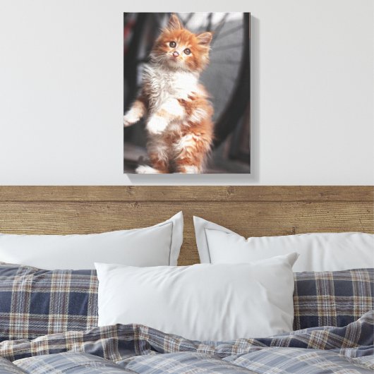 Toile Orange Tabby Kitten (Insitu(Chambre))