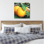 Toile Orange - Tangelo (Insitu(Chambre))