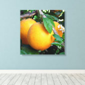 Toile Orange - Tangelo (Insitu (Plancher de Bois))