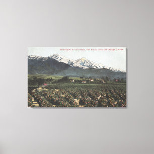 Toile Orangeraies avec vieux Baldy Mt dans la distance