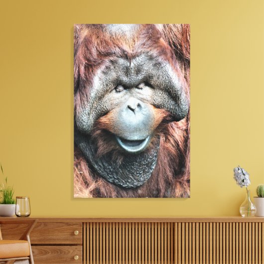 TOILE ORANGUTAN (Insitu(Salon))