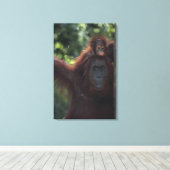 Toile Orangutan (Insitu (Plancher de Bois))