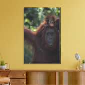Toile Orangutan (Insitu(Salon))