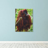 Toile Orangutan - complet (Insitu (Plancher de Bois))