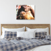 TOILE ORANGUTANS (Insitu(Chambre))