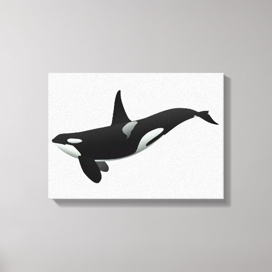 Toile Orca whale illustration - choose background color (Recto)