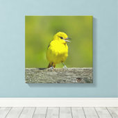 Toile Orchard Oriole - Photo originale (Insitu (Plancher de Bois))
