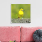 Toile Orchard Oriole - Photo originale (Insitu(Salon))