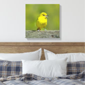 Toile Orchard Oriole - Photo originale (Insitu(Chambre))