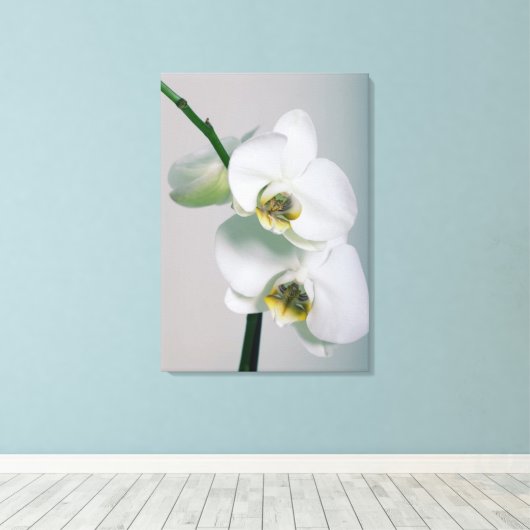 Toile Orchidée blanche (Insitu (Plancher de Bois))