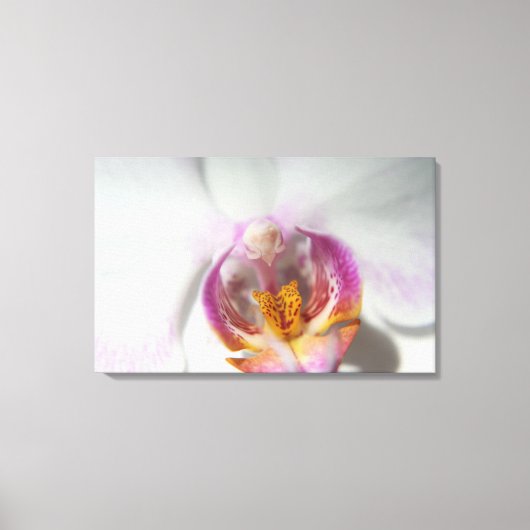 Toile Orchidée blanche avec violet et jaune (Recto)