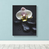 Toile Orchidée Blanche Sur Pierres Noires (Insitu (Plancher de Bois))