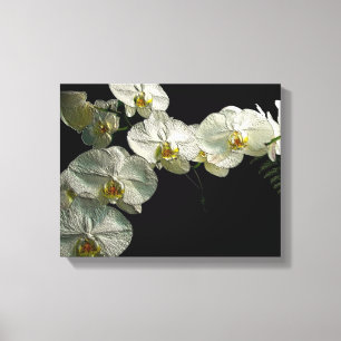 Toile Orchidée et fougère de Phalaenopsis blanc - Art nu
